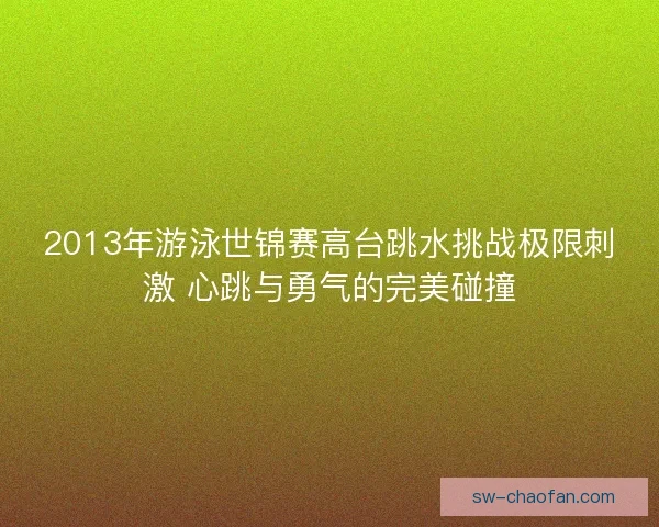2013年游泳世锦赛高台跳水挑战极限刺激 心跳与勇气的完美碰撞